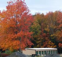 Smaller Tree and storage units