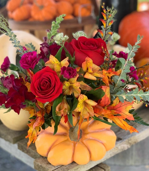 Hardy Mums & Fall Perennials Hardy Mums & Fall Perennials